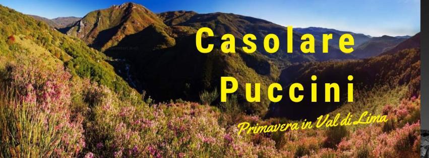 شقة Casolare Puccini باني دي لوكا المظهر الخارجي الصورة